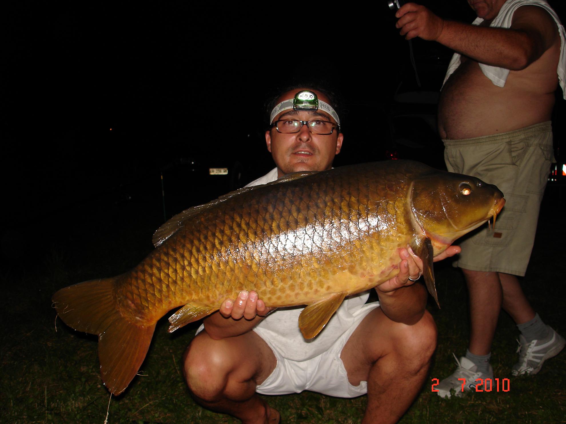 THE BIGS OF 2010 - p1000083.JPG